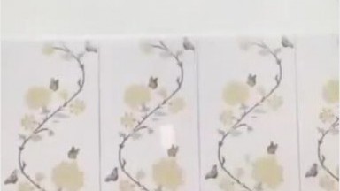 Salsa ABG Cantik Colmek 3